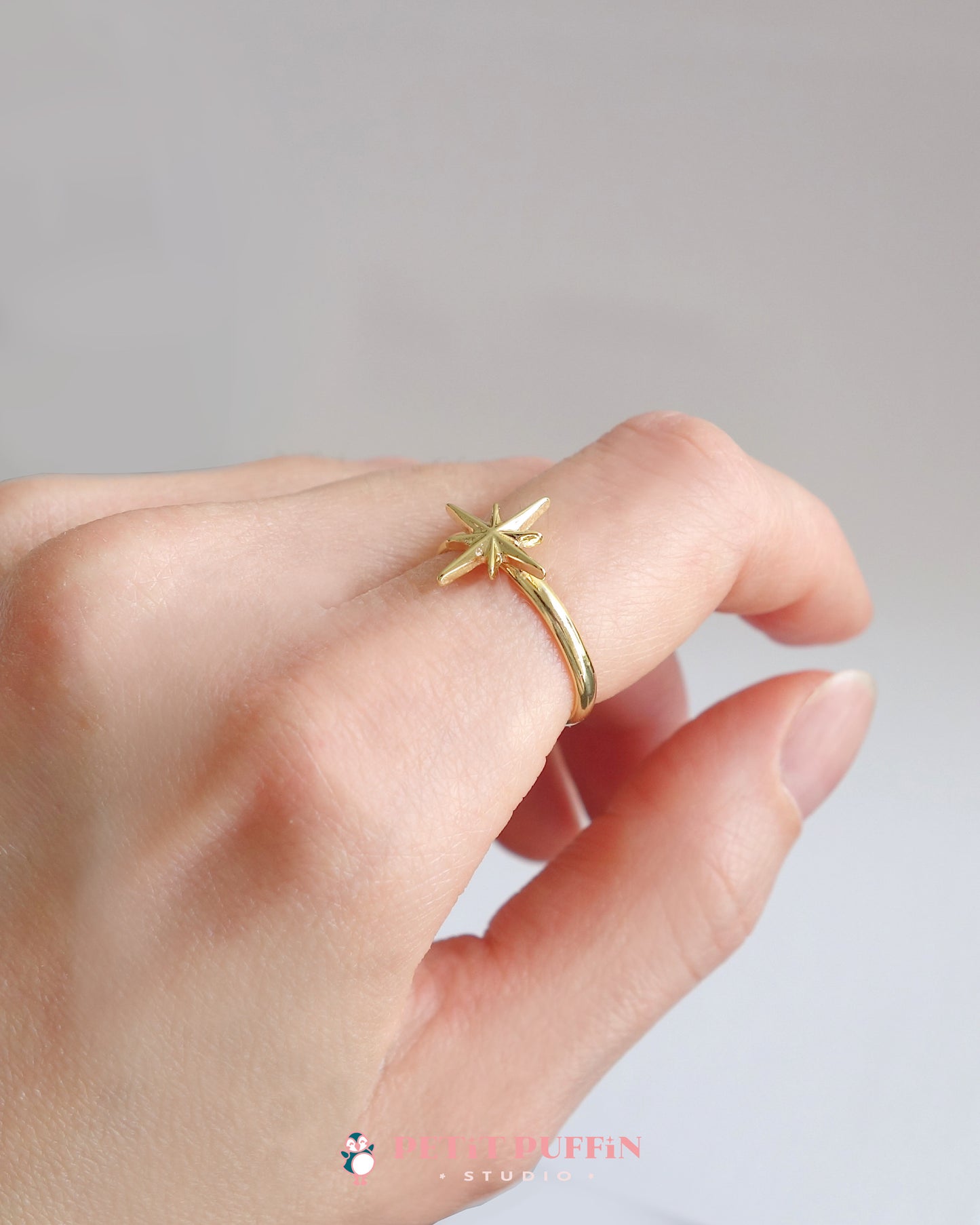 The Long Journey - "compass rose" adjustable ring